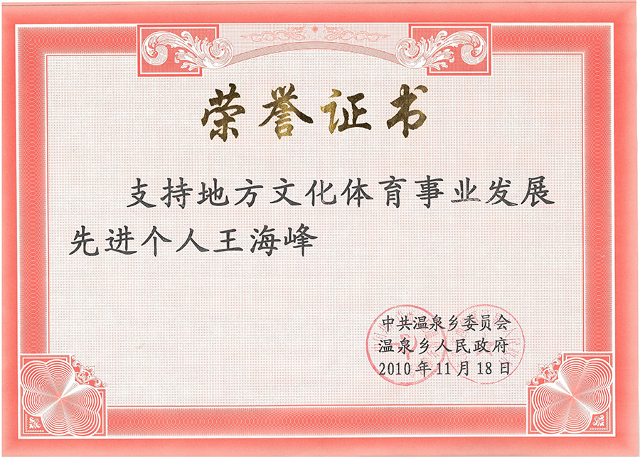 支持地方文化体育事业发展先进个人