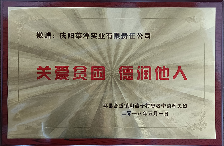 向环县合道镇陶洼子村李荣辉夫妇捐款